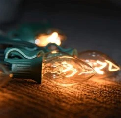 C7 Christmas String Lights-25Ft Vintage Clear Lights With 27 Clear Incandescent Bulbs (2 Spare), Outdoor String Lights For Christmas Party Backyard Wedding - Green Wire -Xmas Lighting Shop 611QrUuKK9L. AC SL1026