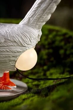 Chicken Egg Lamp,3D Chicken Table Lamp, LED Egg Lamp,Funny Resin Chicken Night Light With USB,，A Christmas Birthday Gift For Friends -Xmas Lighting Shop 615V2cQxfL. AC SL1500