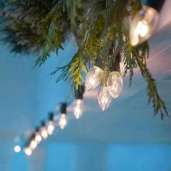 C7 Christmas String Lights-25Ft Vintage Clear Lights With 27 Clear Incandescent Bulbs (2 Spare), Outdoor String Lights For Christmas Party Backyard Wedding - Green Wire -Xmas Lighting Shop 61F738sBZcL. AC SL1001