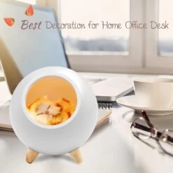 Cat Lover Gifts For Women, Vency Cat Night Light For Wife Mom Teen Girls, Cute Cat House Birthday Gifts, Orange Tabby Cat Christmas Gifts (White) -Xmas Lighting Shop 61FopaifruL. AC SL1500