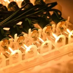 GOOTHY 25FT Clear Outdoor LED String Lights, C7 Clear Christmas String Lights With 27 0.6W Ceramic LED Bulb (2 Spare)，E12 Base, UL Listed For Patio Backyard Cafe Party Holiday Decoration-Green Wire -Xmas Lighting Shop 61G0LXkdPUS. AC SL1001