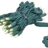 Novelty Lights 50 Light LED Christmas Mini Light Set, Outdoor Lighting Party Patio String Lights, Warm White, Green Wire, 11 Feet
