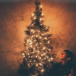 Christmas Lights 25Ft Clear C7 Vintage Lights With 27 Clear Traditional Bulbs E12 Base (2 Spare, 5W) Outdoor Warm White Christmas Lights For Garden Patio Christmas Bistro Cafe Party Decor, Green -Xmas Lighting Shop 61NTXN 9LWL. AC SL1003