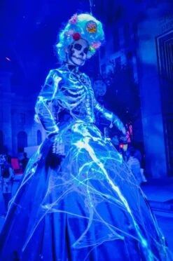 LED Blue Light Bulb, 9W (60w Equivalent), A19 E26 Medium Base Blue Light Bulb, LED Blue Color Bulb For Outdoor Porch, Christmas, Party Decoration, Wedding, Halloween, Home, Holiday Lighting, 4 Pack -Xmas Lighting Shop 61bZUi2bMLL. AC SL1024