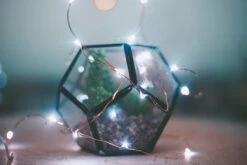 Gardenvy Fairy Lights Plug In, 66ft 200 Mini LEDs String Lights With RF Remote Control, UL Adaptor Included, USB Starry Lights For Christmas Garden Party Indoor Decor, Silver Wire, Cool White -Xmas Lighting Shop 61cOuZ4d0PL. AC SL1500