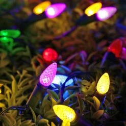 RECESKY C3 Bulbs Christmas String Lights With Built-in Timer - 50 LED 16.4ft Battery String Lights For Outdoor And Indoor, Fairy Lighting Garden, Yard, Garland, House, Xmas Tree, Christmas Decorations -Xmas Lighting Shop 61itj53SfjL. AC SL1000