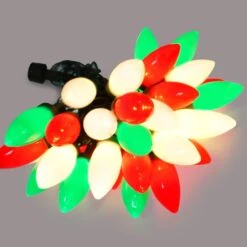 HAYATA C9 Bulbs Christmas Lights 50 LED 36ft Strawberry String Light Red&White&Green - Fairy Lighting For Outdoor, Indoor, Garden, Yard, Party, Home, Wreath, Garland, Christmas Tree Decorations -Xmas Lighting Shop 61kkLpojS4L. AC SL1500