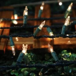 LAMPHOME Super-Bright Extendable Warm White Christmas Lights Decoration 100Lights 19.6ft UL Certified Mini Bulb String Lights Set For Outdoor Christmas Tree Garden Holiday Party Patio Wedding Decor -Xmas Lighting Shop 61lhty4D3WL. AC SL1280