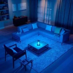 LED Blue Light Bulb, 9W (60w Equivalent), A19 E26 Medium Base Blue Light Bulb, LED Blue Color Bulb For Outdoor Porch, Christmas, Party Decoration, Wedding, Halloween, Home, Holiday Lighting, 4 Pack -Xmas Lighting Shop 61yLiCbXHsL. AC SL1000