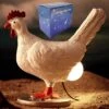 Chicken Lamp,Chicken Egg Lamp,Lifelike Resin Chicken Egg Night Light With Color Box,Chicken Laying Egg Light For Birthday Christmas, Easter Egg Lamp,3D Chicken Egg Light With USB