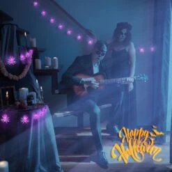 Oopswow YOUNGAR Halloween Decor Spider String Lights, Solar String Light,2PACK 20ft 30 LED Outdoor Decorative Lights For Patio, Garden, Gate, Yard, Halloween Christmas Decoration (2Pack,Spider) -Xmas Lighting Shop 718CPEBsLKL. AC SL1500