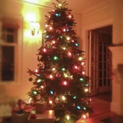 CHYParty 25 Pack C7 Clear Replacement Bulbs, 5W Incandescent Night Light, E12 Candelabra Base, Warm White 2700K C7 Bulbs For Indoor/Outdoor Christmas Halloween Patio String Lights Decor 11 CHYParty 25 Pack C7 Clear Replacement Bulbs, 5W Incandescent Night Light, E12 Candelabra Base, Warm White 2700K C7 Bulbs For Indoor/Outdoor Christmas Halloween Patio String Lights Decor -Xmas Lighting Shop 71EOAXPJlTL. AC SL1500