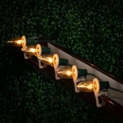 Novelty Lights Incandescent Christmas Replacement Bulbs - Indoor/Outdoor Individual Bulbs For Christmas Tree, Display, More - C9/E17 Intermediate Base, 7 Watt Lights (Clear, 25 Pack) -Xmas Lighting Shop 71EObQgzuTL. AC SL1500