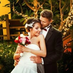 XTF2015 105ft 300 LED Christmas String Lights, End-to-End Plug 8 Modes Christmas Lights - UL Certified - Outdoor Indoor Fairy Lights Christmas Tree, Patio, Garden, Party, Wedding, Holiday (Warm White) 11 XTF2015 105ft 300 LED Christmas String Lights, End-to-End Plug 8 Modes Christmas Lights - UL Certified - Outdoor Indoor Fairy Lights Christmas Tree, Patio, Garden, Party, Wedding, Holiday (Warm White) -Xmas Lighting Shop 71OHElpChGL. AC SL1000