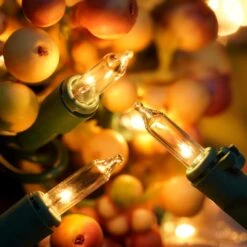 YULETIME Clear Christmas Lights With Green Wire, 66 Feet 200 Count UL Certified String Lights, Pack Of 2 Sets 33 Ft 100 Count Incandescent Mini Light Set (Clear) -Xmas Lighting Shop 71QljAA7mkL. AC SL1500