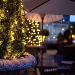 DBFAIRY 2 Pack-16.4ft Outdoor Christmas Tree String Lights 50 Warm White LEDs Battery Operated With Remote Control Green Cable 8 Modes Changing For Bedroom Party Xmas Patio Decor -Xmas Lighting Shop 71RbPRQBcPL. AC SL1000