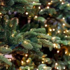 2-Pack Each 200LED 72FT Solar String Lights Outdoor Waterproof, Upgraded Green Wire Solar Christmas Lights Outdoor, 8 Modes Fairy Lights For Party Christmas Decorations Wedding Tree (Yellow) -Xmas Lighting Shop 71T4lB bRIL. AC SL1001