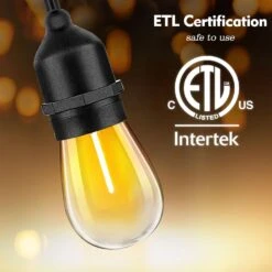 LED Outdoor String Lights, 48FT Patio Lights With Remote & 15 Dimmable Edison Shatterproof Bulbs, RGB Fairy Rope Hanging Light For Outside, Café, Deck, Porch, Garden, Bistro, Christmas Party (Plug) -Xmas Lighting Shop 71U2wTAe2LL. AC SL1500