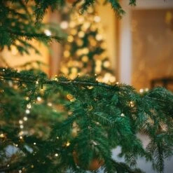 XTF2015 105ft 300 LED Christmas String Lights, End-to-End Plug 8 Modes Christmas Lights - UL Certified - Outdoor Indoor Fairy Lights Christmas Tree, Patio, Garden, Party, Wedding, Holiday (Warm White) 16 XTF2015 105ft 300 LED Christmas String Lights, End-to-End Plug 8 Modes Christmas Lights - UL Certified - Outdoor Indoor Fairy Lights Christmas Tree, Patio, Garden, Party, Wedding, Holiday (Warm White) -Xmas Lighting Shop 71WYSEQfrJL. AC SL1000