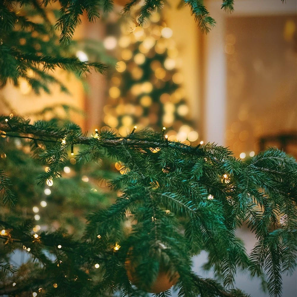 XTF2015 105ft 300 LED Christmas String Lights, End-to-End Plug 8 Modes Christmas Lights - UL Certified - Outdoor Indoor Fairy Lights Christmas Tree, Patio, Garden, Party, Wedding, Holiday (Warm White) 8 XTF2015 105ft 300 LED Christmas String Lights, End-to-End Plug 8 Modes Christmas Lights - UL Certified - Outdoor Indoor Fairy Lights Christmas Tree, Patio, Garden, Party, Wedding, Holiday (Warm White) - Image 8