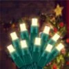 Wominoy 25ft 50 Counts Warm White LED Christmas Lights - Commercial Grade White Christmas Lights Outdoor Waterproof, LED String Lights Indoor 5mm Wide Angle Green Wire, Xmas Tree Lights, IP:65, UL