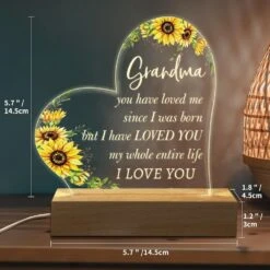 Hiipeenow Grandma Birthday Gifts, Acrylic Engraved Night Light 15 * 19CM Presents, Christmas Mothers Day Gifts For Grandma, Nana, Gigi, Grammy, Grandmother From Grandchildren -Xmas Lighting Shop 71gs9FFhN7L. AC SL1500