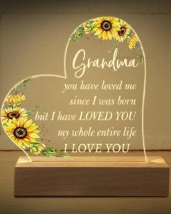 Hiipeenow Grandma Birthday Gifts, Acrylic Engraved Night Light 15 * 19CM Presents, Christmas Mothers Day Gifts For Grandma, Nana, Gigi, Grammy, Grandmother From Grandchildren -Xmas Lighting Shop 71h8IR7CR9L. AC SL1500