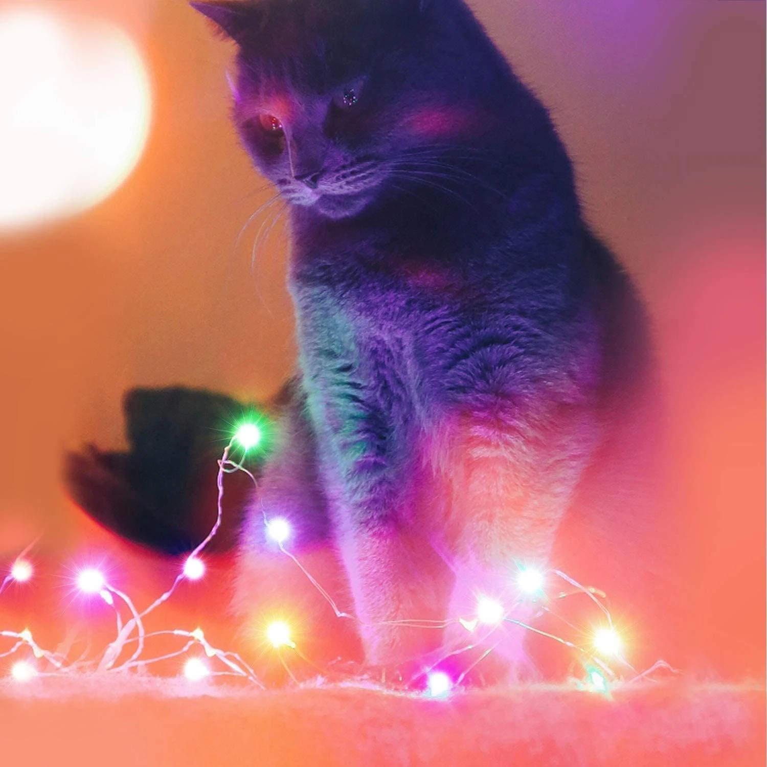 VOLIVO Dreamcolor 33FT LED Fairy String Lights RGBIC,100 Lights Rope,USB Powered,Rainbow Strip Lights,Sync To Music,IP67 Waterproof,for Indoor&Outdoor&Christmas Decor 8 VOLIVO Dreamcolor 33FT LED Fairy String Lights RGBIC,100 Lights Rope,USB Powered,Rainbow Strip Lights,Sync To Music,IP67 Waterproof,for Indoor&Outdoor&Christmas Decor - Image 8