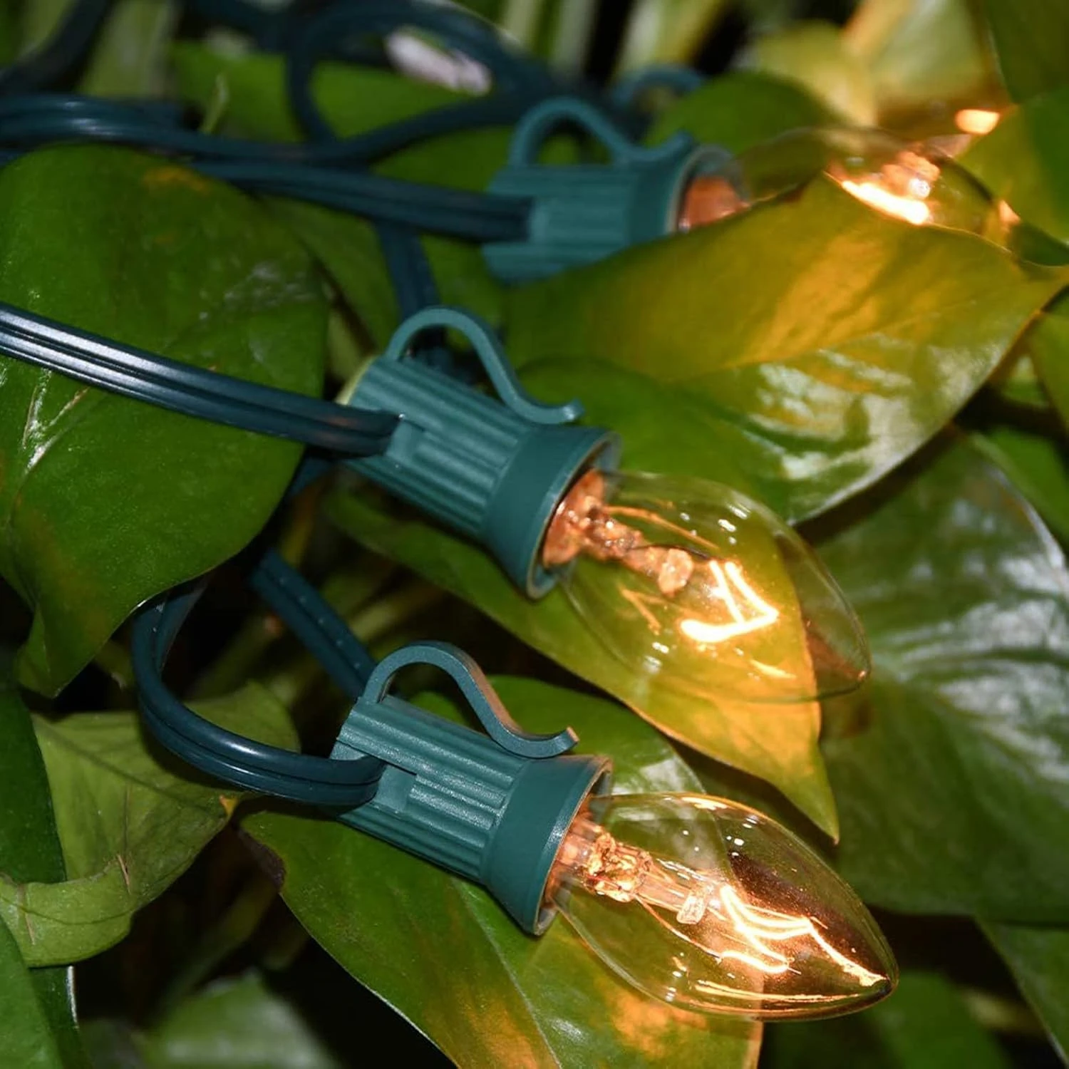 CHYParty 25 Pack C7 Clear Replacement Bulbs, 5W Incandescent Night Light, E12 Candelabra Base, Warm White 2700K C7 Bulbs For Indoor/Outdoor Christmas Halloween Patio String Lights Decor 7 CHYParty 25 Pack C7 Clear Replacement Bulbs, 5W Incandescent Night Light, E12 Candelabra Base, Warm White 2700K C7 Bulbs For Indoor/Outdoor Christmas Halloween Patio String Lights Decor - Image 7