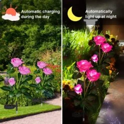 Anordsem Solar Garden Lights Outdoor,2 Pack Solar Flowers Roses Lights Garden Decorative, Waterproof Solar Garden Lights For Garden Lawn Patio Backyard Pathway Christmas Walkway (Pink -Xmas Lighting Shop 71rjupFDLqS. AC SL1000