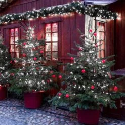 Yongzhenlite 50 Count Wide Angle 5MM Mini LED Christmas Lights,White Led String Lights For Outdoor And Indoor Christmas Trees Decoration,Commercial Grade,Green Wire,17Feet,UL Listed (Cool White) 10 Yongzhenlite 50 Count Wide Angle 5MM Mini LED Christmas Lights,White Led String Lights For Outdoor And Indoor Christmas Trees Decoration,Commercial Grade,Green Wire,17Feet,UL Listed (Cool White) -Xmas Lighting Shop 71zVudt i4L. AC SL1000