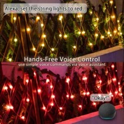 LUMIMAN Smart String Lights Outdoor Waterproof 33FT RGB Color Changing Globe String Lights With Remote Music Mode APP Contorl Compatible With Alexa Google Home For Bedroom Party Christmas Wall Decor -Xmas Lighting Shop 81 k4cvz61L. AC SL1500