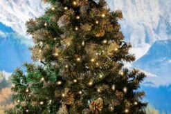 Novelty Lights 100 Light LED Christmas Mini Light Set, Outdoor Lighting Party Patio String Lights, Warm White, Green Wire, 50 Feet -Xmas Lighting Shop 814VzBpBWqL. AC SL1500 1