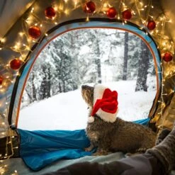 Twinkle Star 360 LED Christmas Icicle Lights Outdoor Dripping Ice Cycle Lights, 29.5ft 8 Modes Curtain Fairy Lights With 60 Drops, Indoor Xmas Holiday Wedding Party Decorations, Warm White 11 Twinkle Star 360 LED Christmas Icicle Lights Outdoor Dripping Ice Cycle Lights, 29.5ft 8 Modes Curtain Fairy Lights With 60 Drops, Indoor Xmas Holiday Wedding Party Decorations, Warm White -Xmas Lighting Shop 8170DzrQzHL. AC SL1500