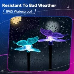 GIGALUMI Solar Garden Stake Lights,3 Pack Solar Garden Decorations, Color Changing LED Halloween/Christmas Lights,Outdoor Solar Lights Decorative For Pathway,Garden,Lawn,Patio,Driveway -Xmas Lighting Shop 81EiwhVRrNL. AC SL1500