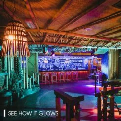 Energetic A19 Purple Light Bulb, 3W Equivalent 40W, E26 Base Non-dimmable LED Bulb For Christmas Halloween Party Decoration, Home And Holiday Lighting, UL Listed, 2 Pack -Xmas Lighting Shop 81Eu26rvCSL. AC SL1500