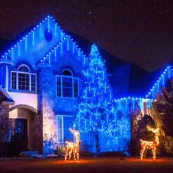 JMEXSUSS 2 Pack Solar Meteor Shower Lights, 16 Tube 288 LED Blue Meteor Christmas Lights, Solar Christmas Lights Outdoor Waterproof For Tree Christmas Decorations -Xmas Lighting Shop 81FhKuD6qZL. AC SL1500