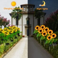 Sunflower Solar Lights, Blueguan 8 Pack Solar Sunflowers Outdoor Garden Lights Waterproof IP65, Durable Rechargeable Solar Sunflower Lights Decorative For Lawn Yard, Christmas Patio Pathway Décor 11 Sunflower Solar Lights, Blueguan 8 Pack Solar Sunflowers Outdoor Garden Lights Waterproof IP65, Durable Rechargeable Solar Sunflower Lights Decorative For Lawn Yard, Christmas Patio Pathway Décor -Xmas Lighting Shop 81Gb2T1sNqL. AC SL1500