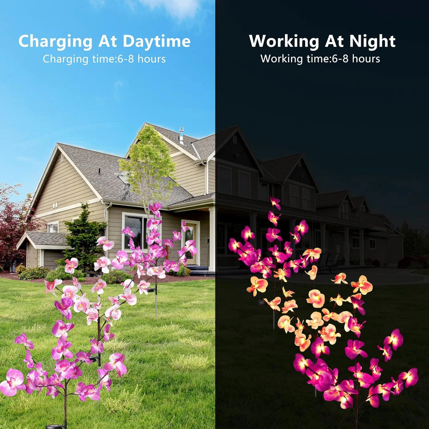 Rirool Solar Garden Stake Lights For Garden, Patio, Backyard Christmas Decors, Waterproof Solar Powered Purple & Pink Orchid Lights, Outdoor Solar Flower Landscape Decorative Lights, 2 Pack 3 Rirool Solar Garden Stake Lights For Garden, Patio, Backyard Christmas Decors, Waterproof Solar Powered Purple & Pink Orchid Lights, Outdoor Solar Flower Landscape Decorative Lights, 2 Pack - Image 3