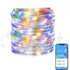 VISDOLL String Lights Outdoor, 32.8ft LED Christmas Lights WS2812 RGB 5V USB Waterproof Multicolor Fairy Lights With Remote And Bluetooth App Control, Idear For Wedding Party Holiday Indoor Decor