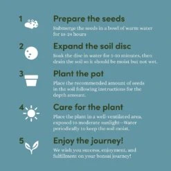 Bonsai Starter Kit - Gardening Gift For Women & Men - Bonsai Tree Growing Garden Crafts Hobby Kits For Adults, Unique DIY Hobbies For Plant Lovers - Unusual Christmas Gifts Ideas, Or Gardener Mother -Xmas Lighting Shop 81YbJ1xocrL. AC SL1500