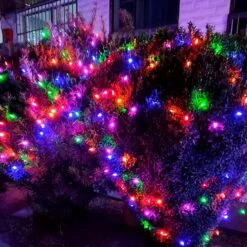 JinBest 200 Multicolor Christmas Lights, UL Certified Always On LED Mini Lights String Green Wire 66 Ft, For Indoor Outdoor Party, Garden, Patio -Xmas Lighting Shop 81ZQgzX0btL. AC SL1500