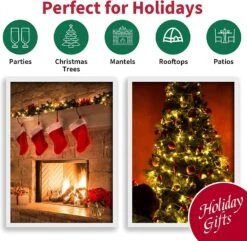 LAMPHOME Super-Bright Extendable Warm White Christmas Lights Decoration 100Lights 19.6ft UL Certified Mini Bulb String Lights Set For Outdoor Christmas Tree Garden Holiday Party Patio Wedding Decor -Xmas Lighting Shop 81c86IlGP1L. AC SL1500