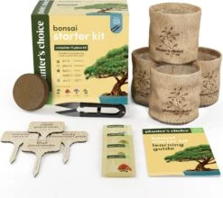 Bonsai Starter Kit - Gardening Gift For Women & Men - Bonsai Tree Growing Garden Crafts Hobby Kits For Adults, Unique DIY Hobbies For Plant Lovers - Unusual Christmas Gifts Ideas, Or Gardener Mother -Xmas Lighting Shop 81hmBkhxTlL. AC SL1500