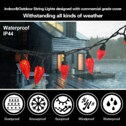 Silvom Red Christmas Lights, 25 LED Srawberry Lights, 16ft Xmas Lights, 120V UL Certified Indoor & Outdoor String Lights For Halloween, Thanksgiving Day, Christmas Tree, Wedding, Holiday Decoration 12 Silvom Red Christmas Lights, 25 LED Srawberry Lights, 16ft Xmas Lights, 120V UL Certified Indoor & Outdoor String Lights For Halloween, Thanksgiving Day, Christmas Tree, Wedding, Holiday Decoration -Xmas Lighting Shop 81ozC7r5X2L. AC SL1500