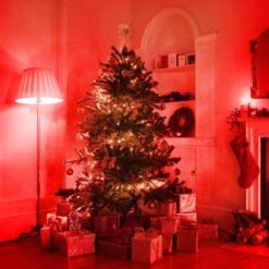 EvaStary LED Red Light Bulb 60W Equivalent, A19 LED E26 Base Red Color Light Bulbs, 9W Red LED Bulb For Halloween, Christmas Decoration, Party, Bars, Porch Lights, Holiday Mood Lighting, Pack Of 2 -Xmas Lighting Shop 81sbxqUnskL. AC SL1500