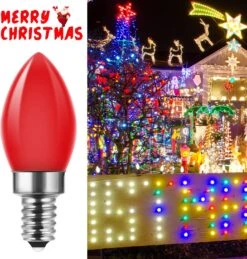 C7 Christmas Replacement Bulbs, 25 Pack Multicolor Ceramic Light Bulbs For Christmas Outdoor Indoor String Lights, E12/C7 Base, 5 Watt -Xmas Lighting Shop 81sffp6 cdL. AC SL1500