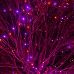 Dazzle Bright Halloween String Lights, 132FT 400 LED Connectable Black Wire 8 Modes String Lights, Waterproof Christmas Decorations For Indoor Outdoor Patio Party Holiday (Purple And Orange) -Xmas Lighting Shop 81vwFpwiAL. AC SL1500