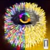 Christmas Lights Outdoor 300 LED 99ft Color Changing String Lights Warm White To Multicolor LED String Lights Remote 11 Modes Fairy Light For Thanksgiving Xmas Tree Party Wedding Indoor Decorations