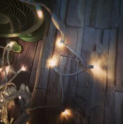 Christmas Lights 50 LED 17FT Commercial Mini LED String Lights, 120V UL, White Wire Xmas Lights For Indoor & Outdoor Use, Holiday Party Decorations,Trees, Light Displays (Warm White) 10 Christmas Lights 50 LED 17FT Commercial Mini LED String Lights, 120V UL, White Wire Xmas Lights For Indoor & Outdoor Use, Holiday Party Decorations,Trees, Light Displays (Warm White) -Xmas Lighting Shop 910I1BrbgAL. AC SL1500